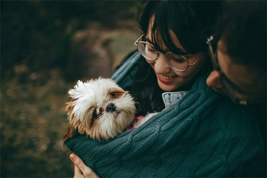 Neumonía por aspiración en hurones: síntomas, tratamiento y prevención